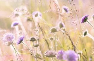 Se centrer sur le Soi.